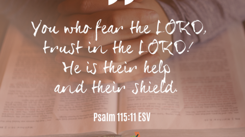 Psalm 115:11